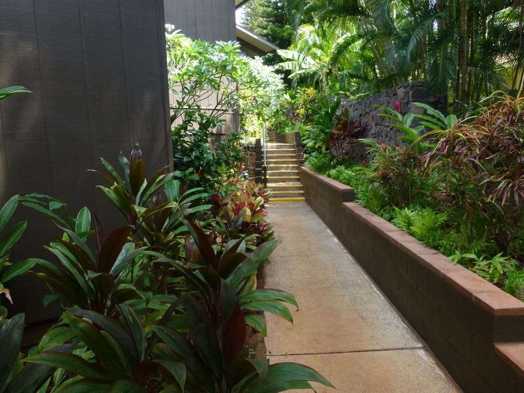 Aparthotel Mahina Surf 220 By Redawning Lahaina Exteriér fotografie